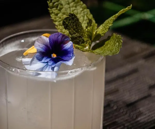 호텔 Tipografia Do Conto By Casa Do Conto 포르투