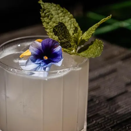 酒店 Tipografia Do Conto By Casa Do Conto 波尔图